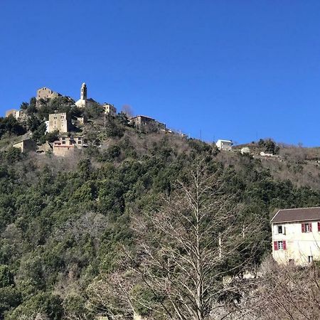 Camping L'Agrottu Au Coeur De La Corse Santa-Lucia-di-Mercurio 外观 照片