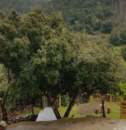 Camping L'Agrottu Au Coeur De La Corse Santa-Lucia-di-Mercurio 外观 照片