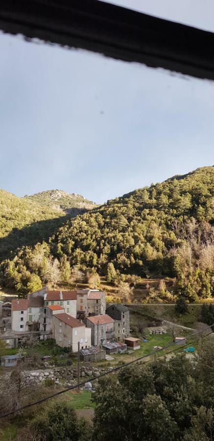 Camping L'Agrottu Au Coeur De La Corse Santa-Lucia-di-Mercurio 外观 照片