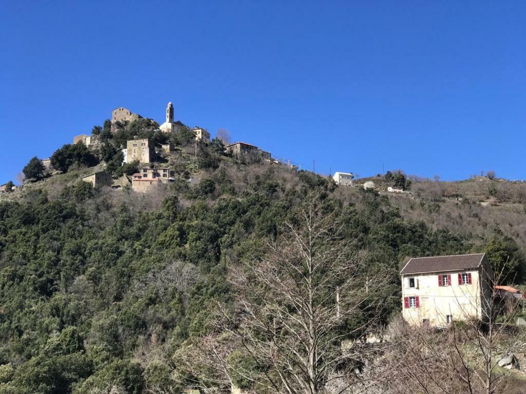 Camping L'Agrottu Au Coeur De La Corse Santa-Lucia-di-Mercurio 外观 照片