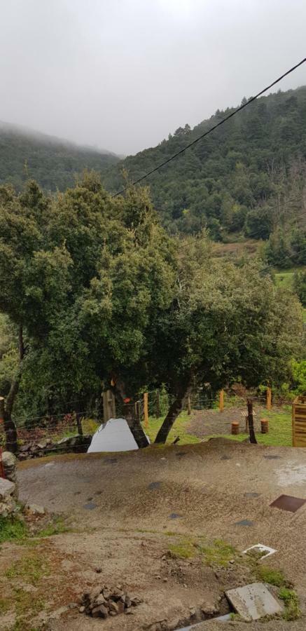 Camping L'Agrottu Au Coeur De La Corse Santa-Lucia-di-Mercurio 外观 照片