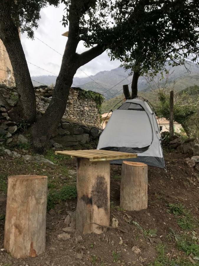 Camping L'Agrottu Au Coeur De La Corse Santa-Lucia-di-Mercurio 外观 照片