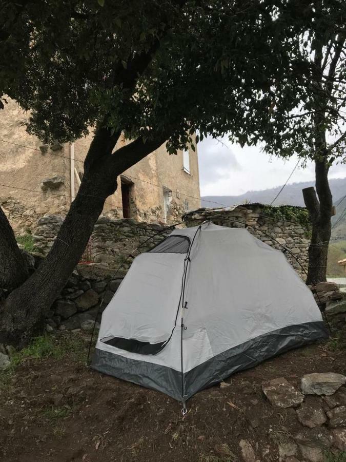 Camping L'Agrottu Au Coeur De La Corse Santa-Lucia-di-Mercurio 外观 照片