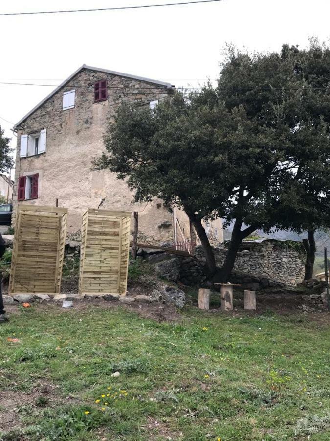 Camping L'Agrottu Au Coeur De La Corse Santa-Lucia-di-Mercurio 外观 照片