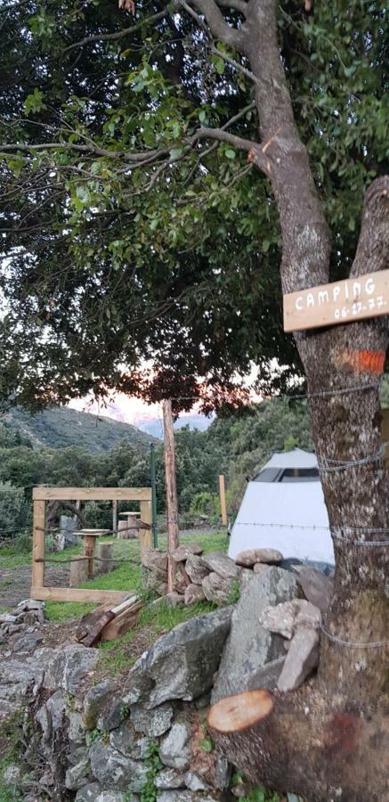 Camping L'Agrottu Au Coeur De La Corse Santa-Lucia-di-Mercurio 外观 照片