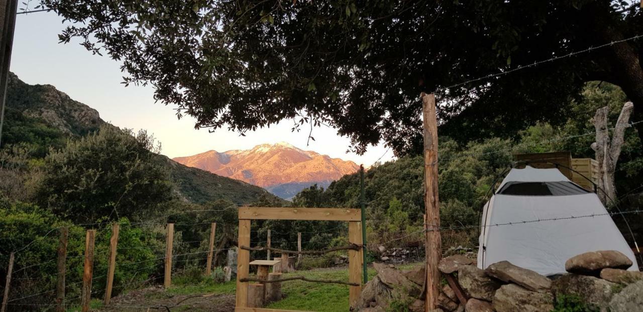 Camping L'Agrottu Au Coeur De La Corse Santa-Lucia-di-Mercurio 外观 照片