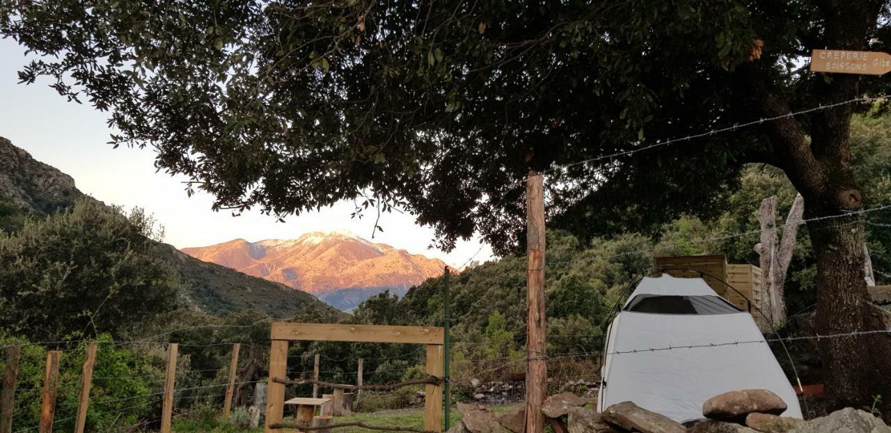 Camping L'Agrottu Au Coeur De La Corse Santa-Lucia-di-Mercurio 外观 照片