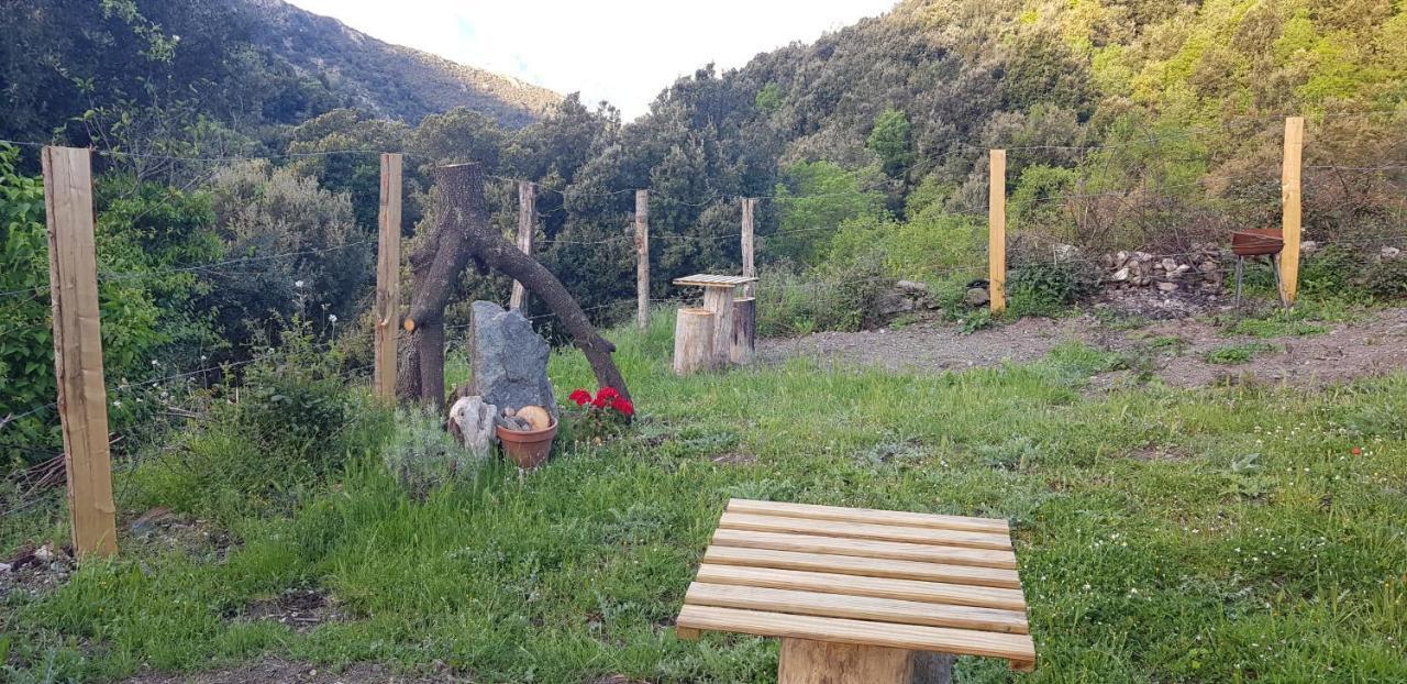 Camping L'Agrottu Au Coeur De La Corse Santa-Lucia-di-Mercurio 外观 照片