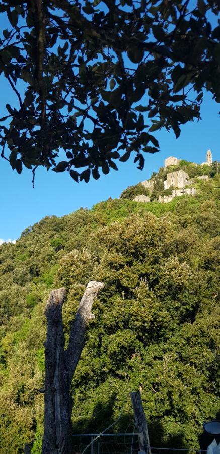 Camping L'Agrottu Au Coeur De La Corse Santa-Lucia-di-Mercurio 外观 照片