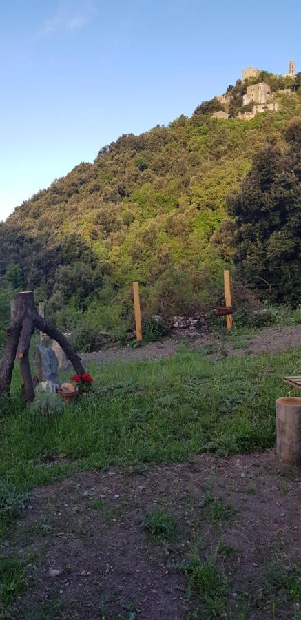 Camping L'Agrottu Au Coeur De La Corse Santa-Lucia-di-Mercurio 外观 照片